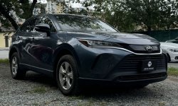 HARRIER (80) 2020-2024